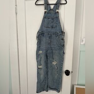 Wild Fable Blue Denim Overalls